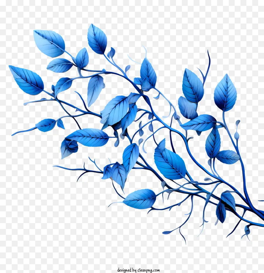 Mavi Yapraklar，Şube PNG