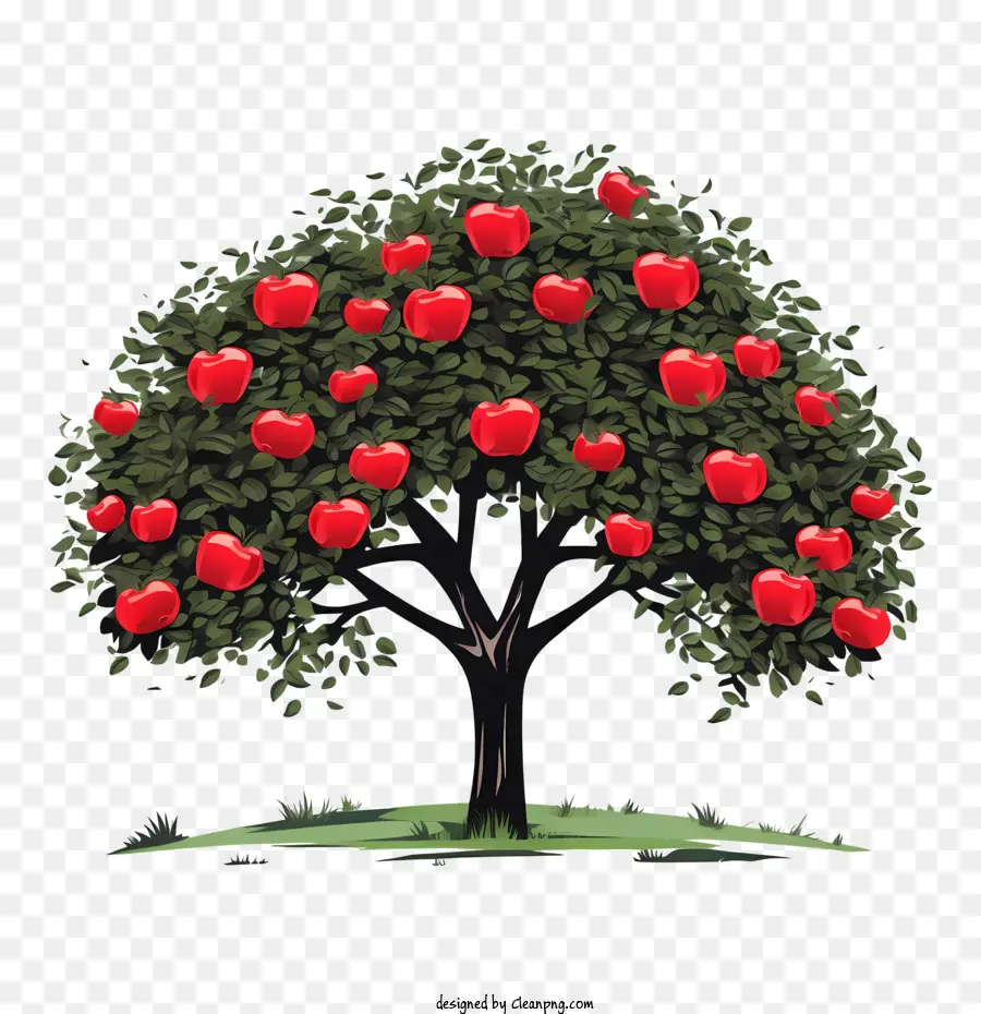 Meyve Ağacı，Elma Ağacı PNG