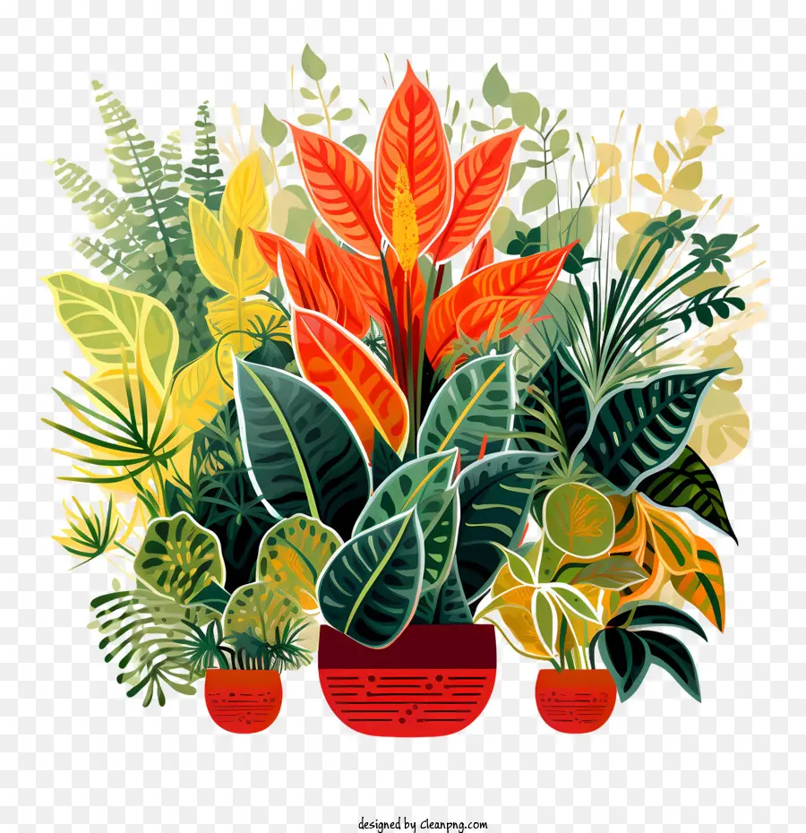 Houseplant Takdir Günü，Renkli Bitkiler PNG