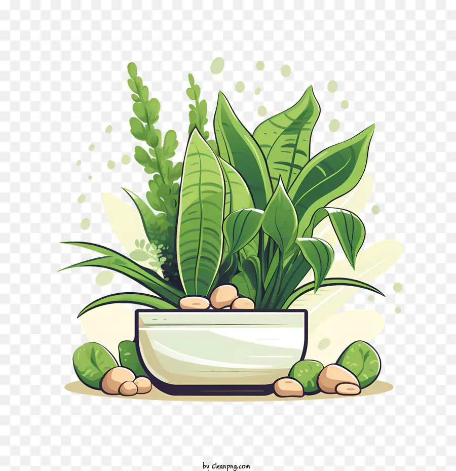 Houseplant Takdir Günü，Bitkiler PNG