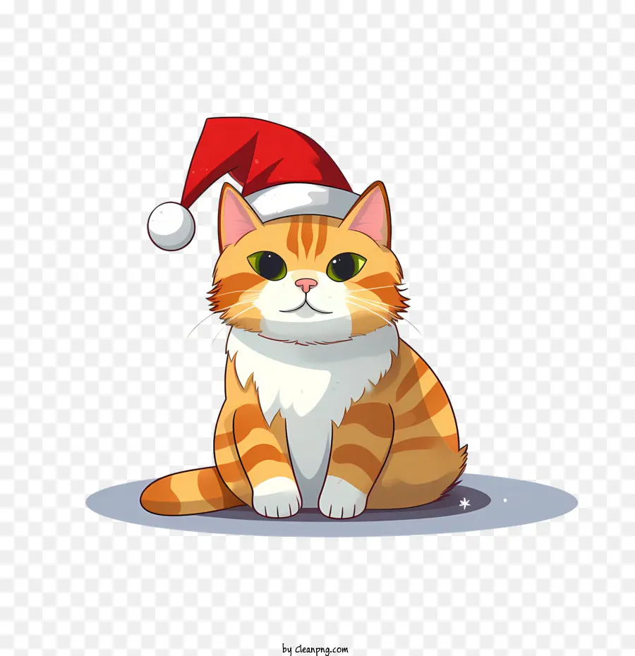 Noel Kedisi，Kedi PNG