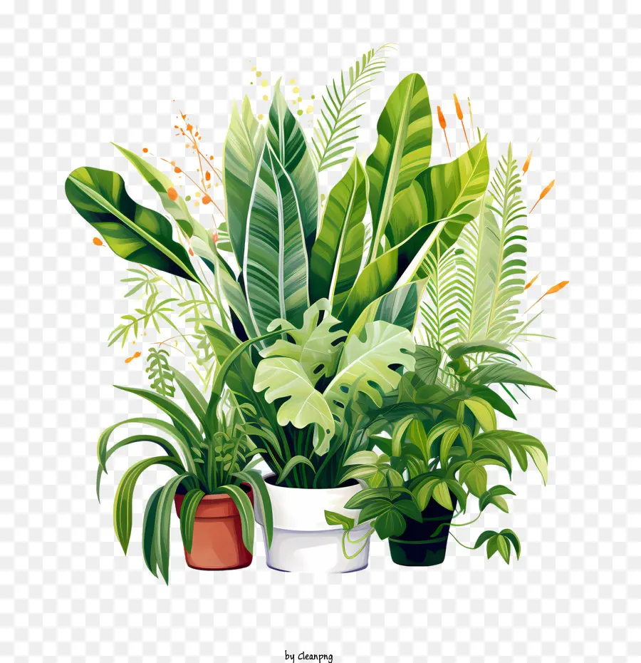 Houseplant Takdir Günü，Saksı Bitkileri PNG