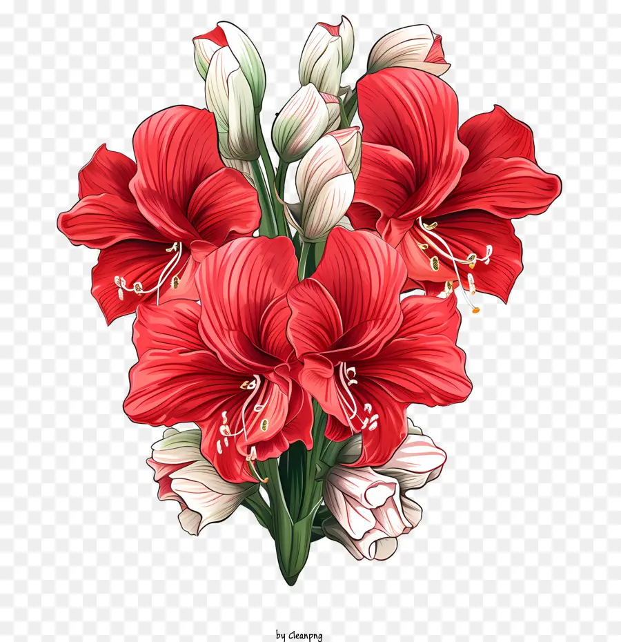 Amaryllis Çiçeği，Kırmızı çiçekler PNG