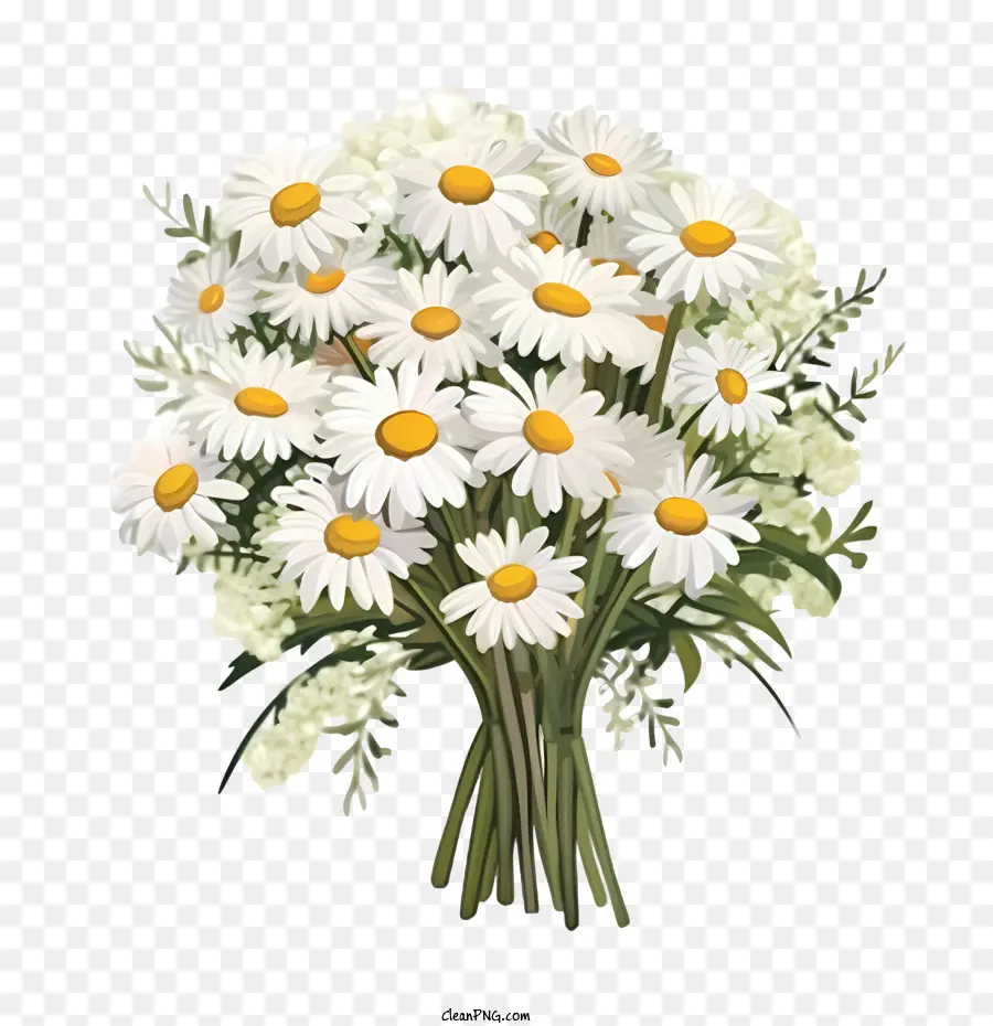 Daisy çiçek，Beyaz Papatyalar Buketi PNG