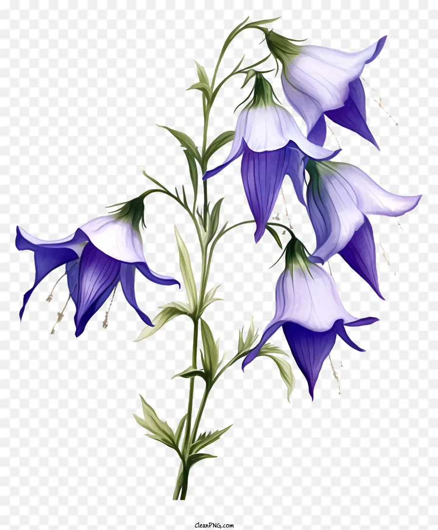 Mavi çiçekler，çiçek Küme PNG