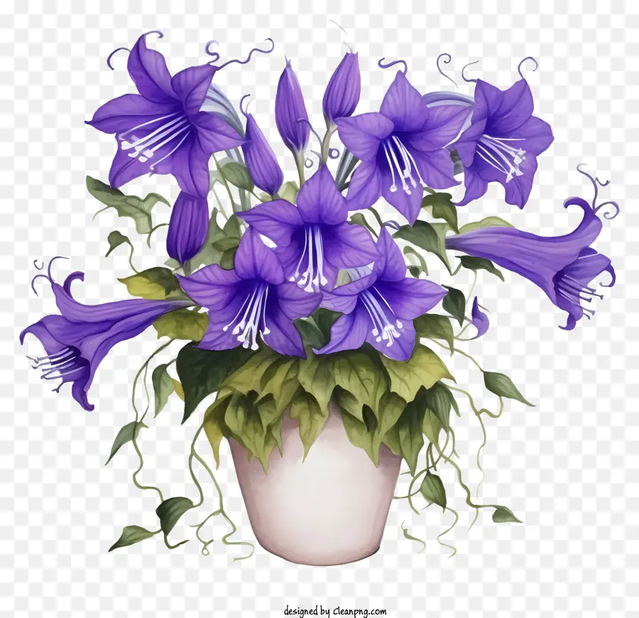 Vazo，Mor çiçekler PNG