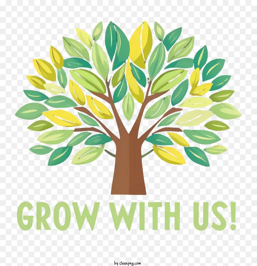 Bizimle Büyümek，Ağaç PNG