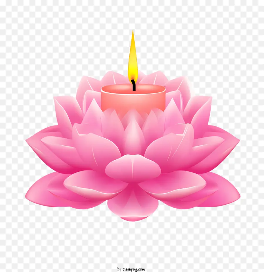 Mum Lotus çiçeği，Pembe Mum PNG