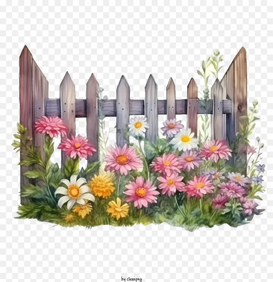 Ahşap Bahçe çit，Kır çiçekleri PNG