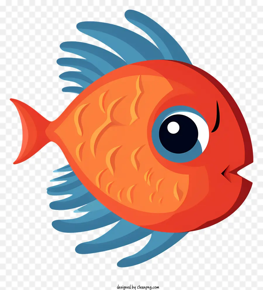 Mavi çizgili Turuncu Balık，Balık Gülümseyen PNG