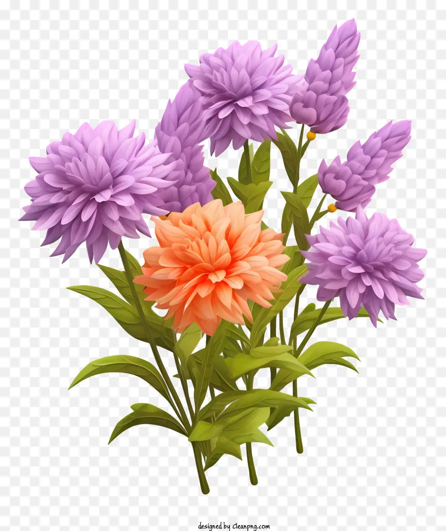 çiçek Buketi，Pembe Dahlias PNG