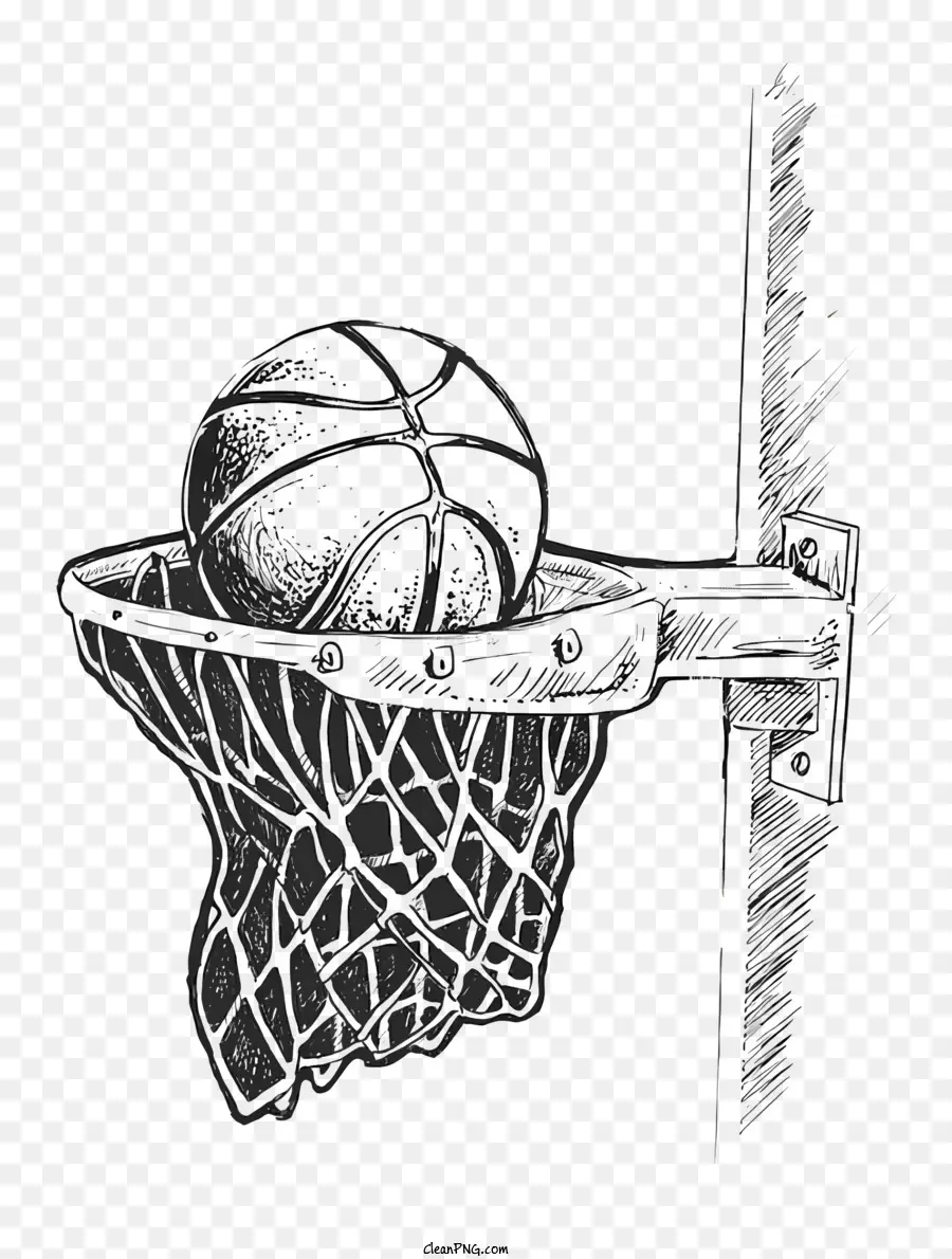 Basketbol，Basketbol Net PNG