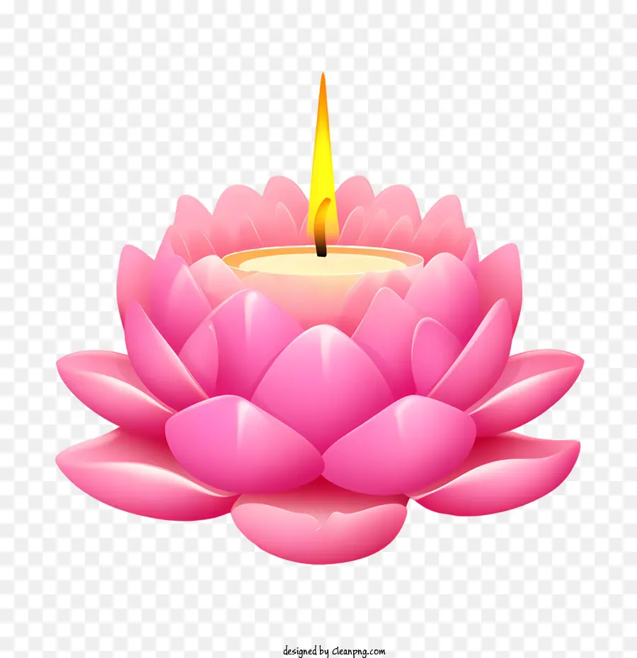Mum Lotus çiçeği，Lotus PNG