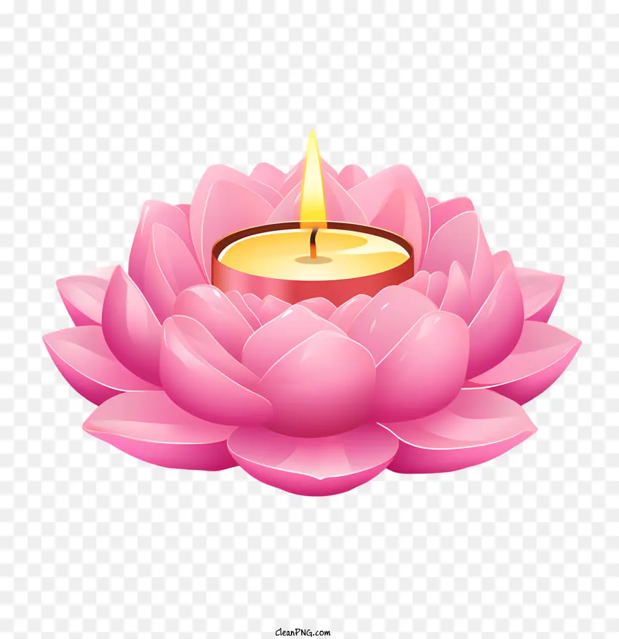 Mum Lotus çiçeği，Pembe Mum PNG