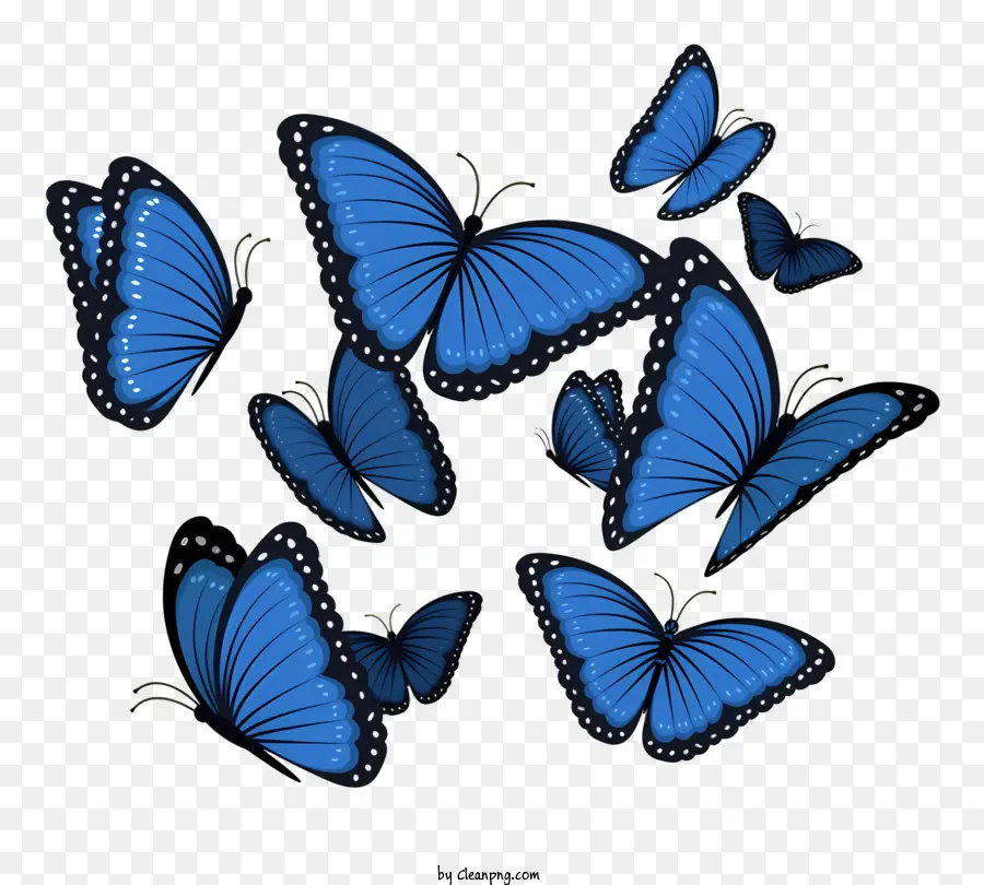 Mavi Kelebekler，Kelebek Uçuşu PNG