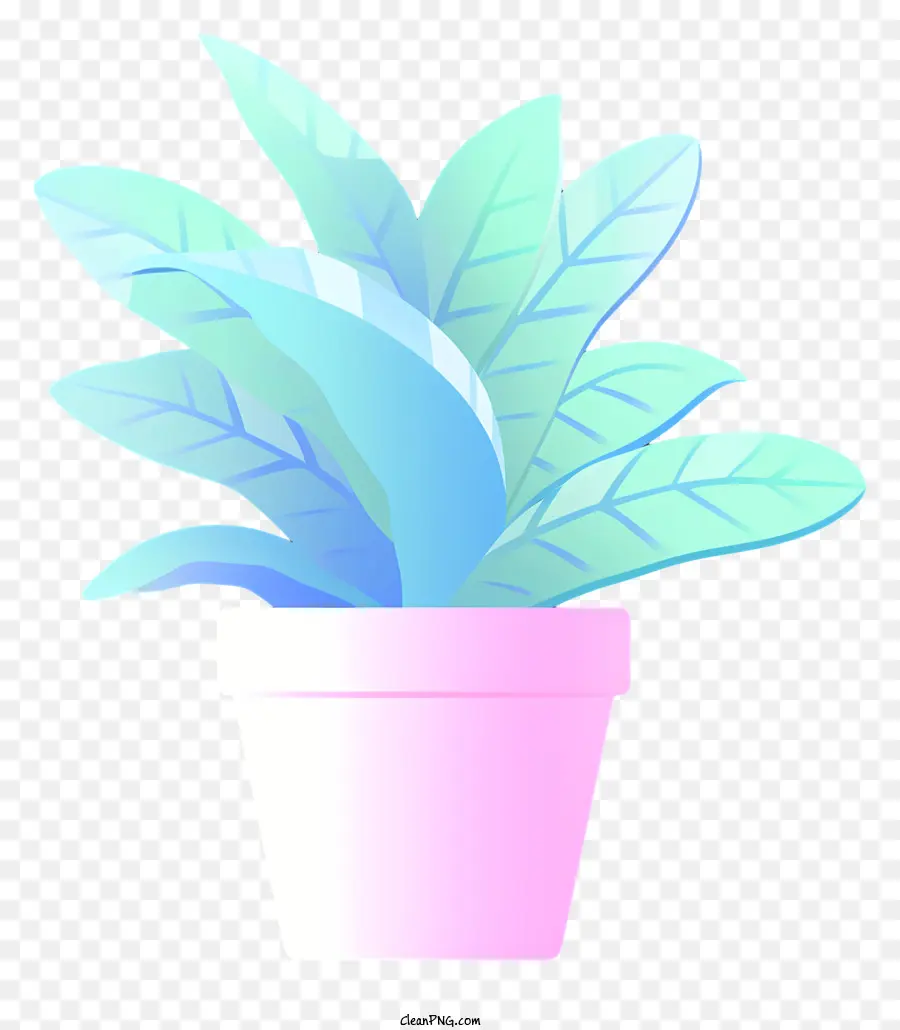 Saksı Bitkisi，Pembe Ve Mavi Yapraklar PNG