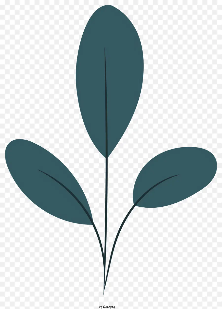 Bitki Siluet，Yeşil Yaprak PNG
