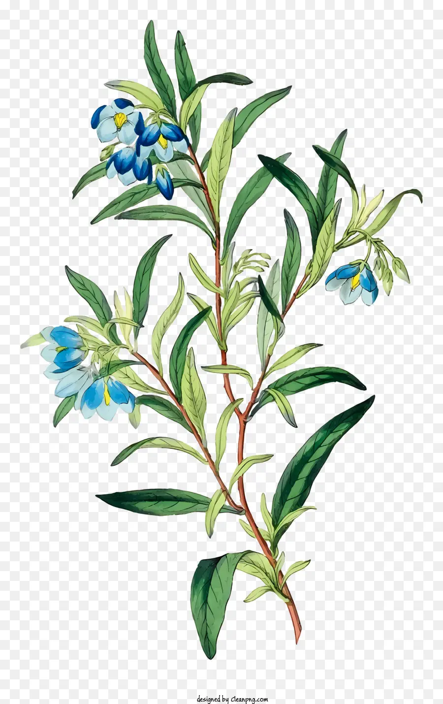Mavi çiçekler，çiçek Küme PNG