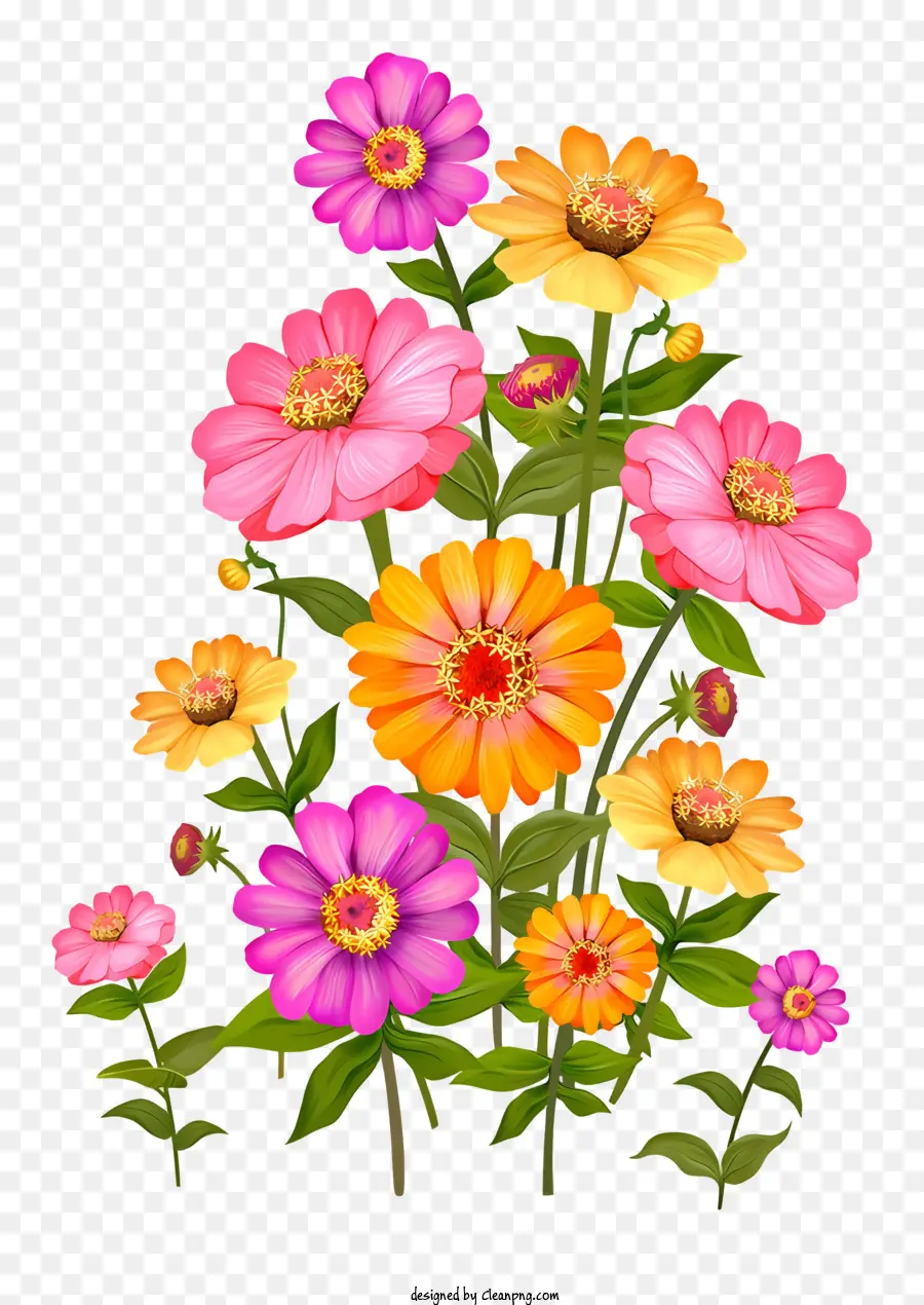 Natürmort，Renkli çiçekler PNG