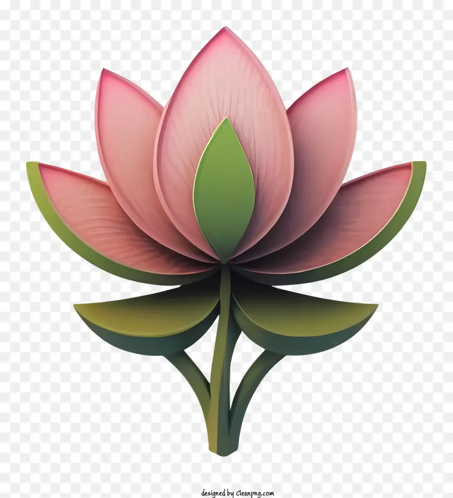 Pembe Lotus Çiçeği，Açık Yaprakları PNG