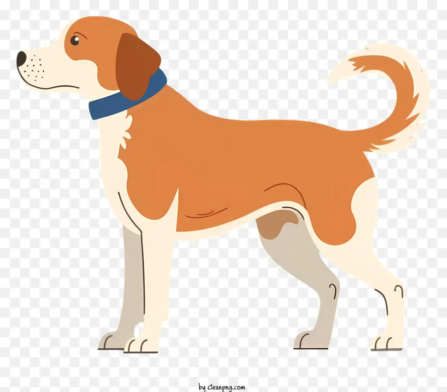Karikatür Köpek，Kahverengi Ve Beyaz Kat PNG