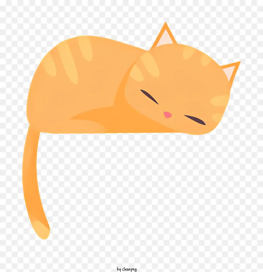 Uyuyan Kedi，Kedi PNG