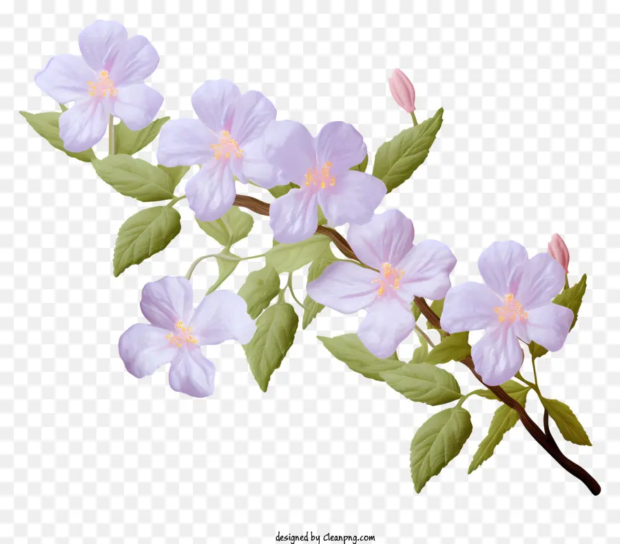 çiçek，Pembe çiçekler PNG