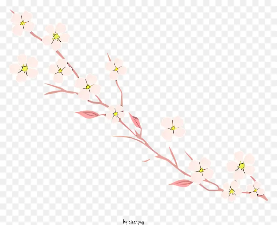 Kiraz çiçeği Ağacı，Pembe çiçekler PNG