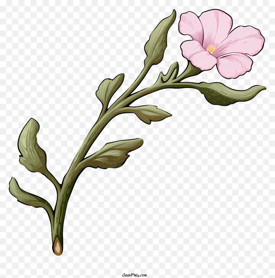 Pembe çiçek，Beş Taç PNG