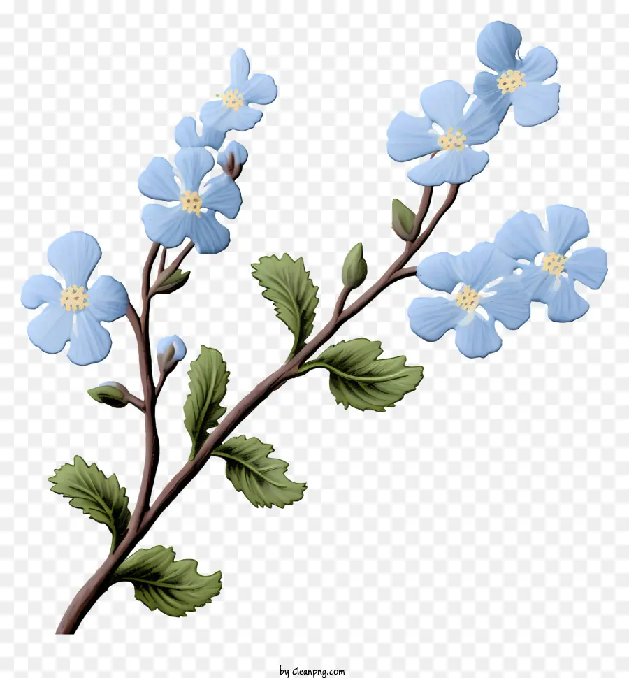 Küçük şube，Mavi çiçekler PNG