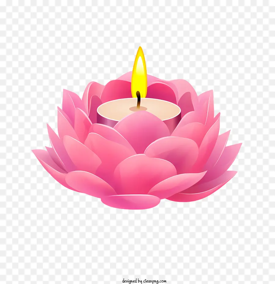 Mum Lotus çiçeği，Lotus PNG