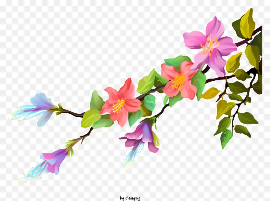 çiçek şube，Renkli çiçekler PNG