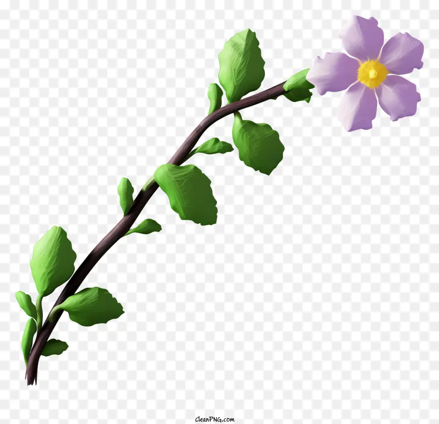 Pembe çiçek，Kök PNG
