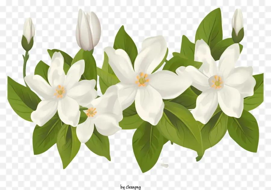 Beyaz çiçekler，Buket PNG