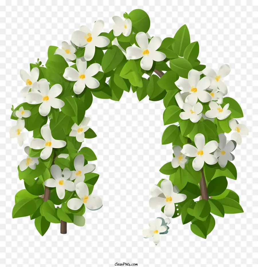çiçek çelenk，Beyaz çiçekler PNG