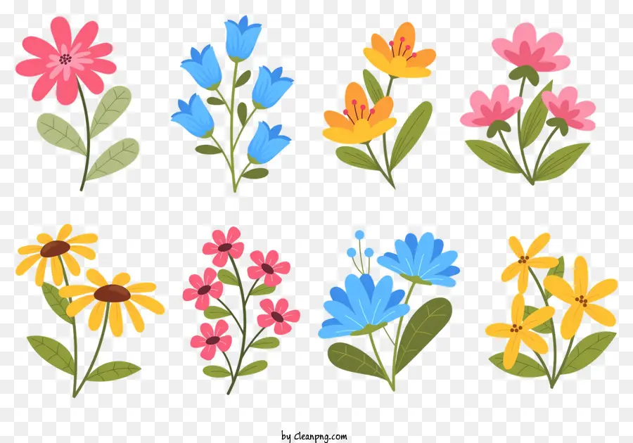çiçek，Renkli PNG