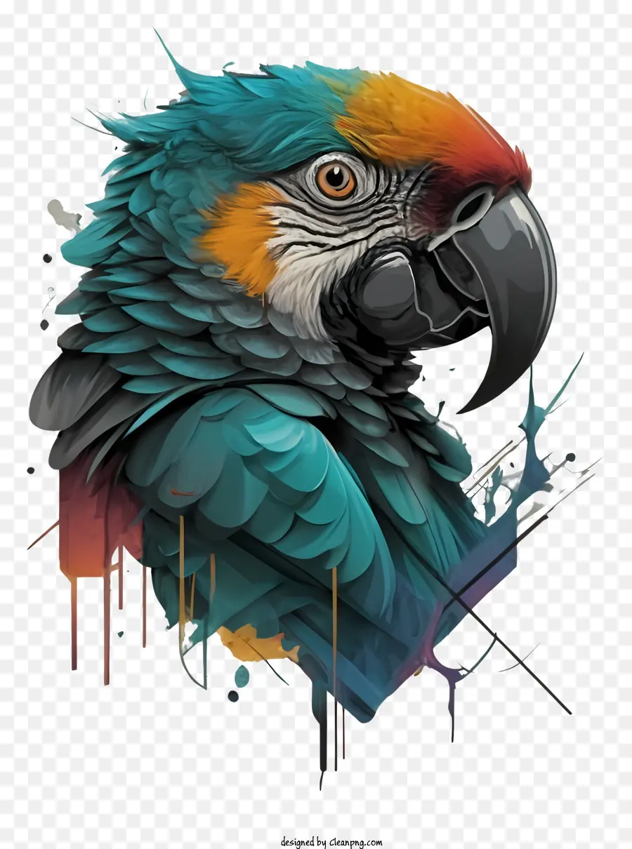Renkli Papağan，Parlak Turuncu PNG