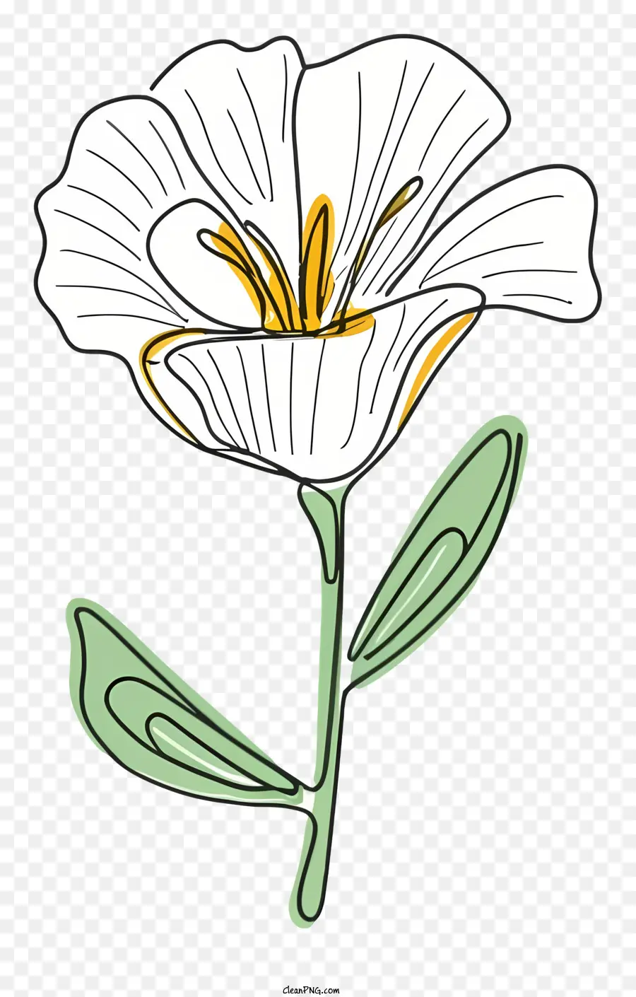 çiçek，Beyaz çiçek PNG
