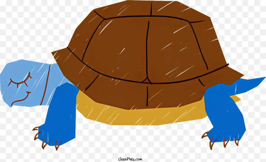 Karikatür Kaplumbağa，Kaplumbağa PNG