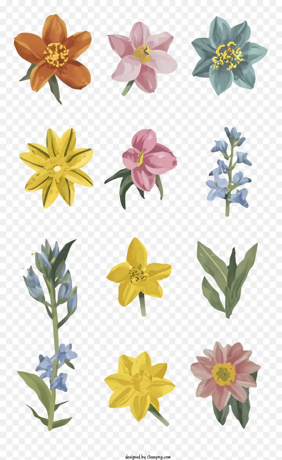 Kır çiçekleri，Renkli çiçekler PNG