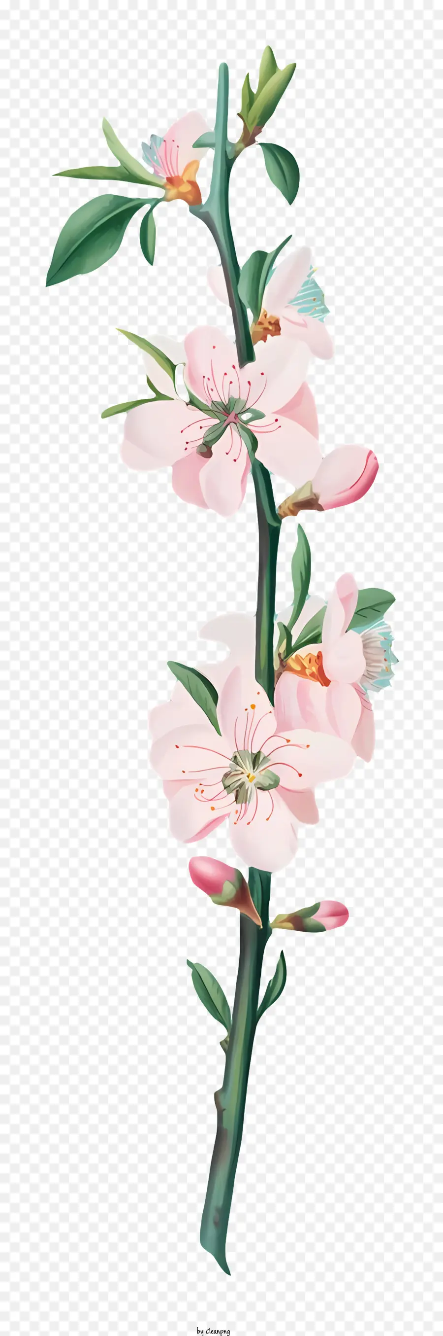 çiçekli Ağaç，Pembe çiçekler PNG