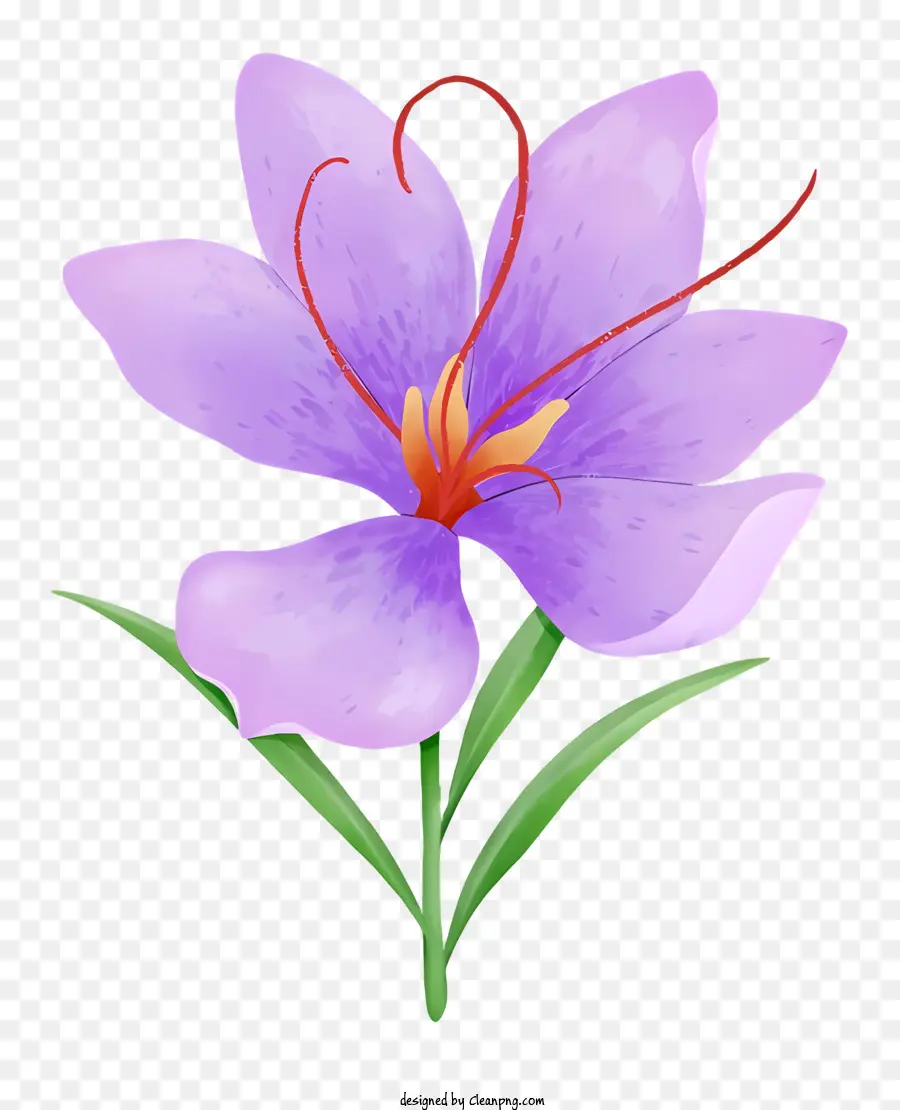 Suluboya Resim，Mor çiçek PNG