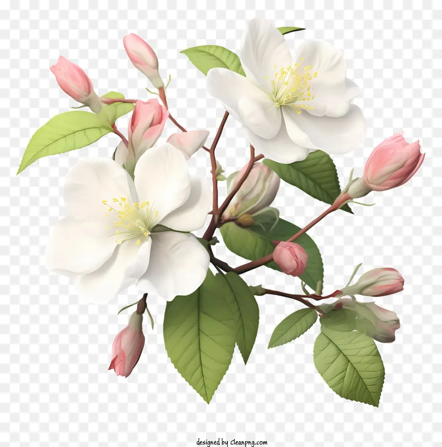 Beyaz Çiçekli Ağaç，Pembe çiçekler PNG