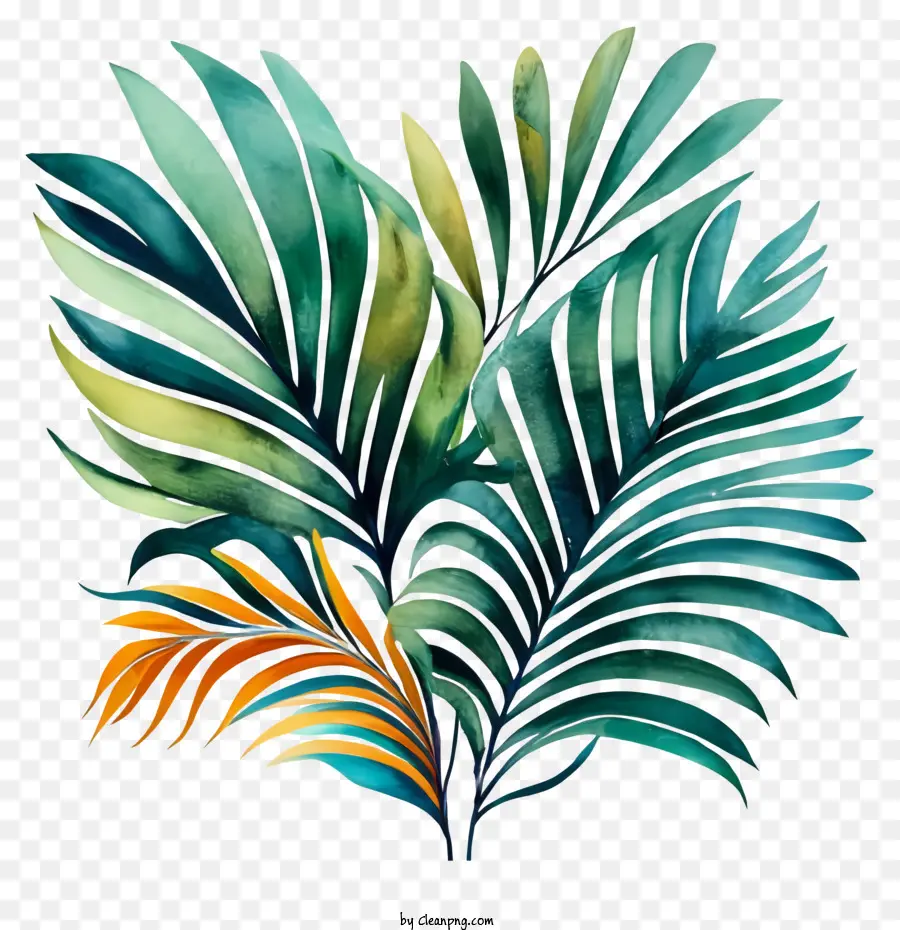 Tropikal Bitki，Bitki Yaprak PNG