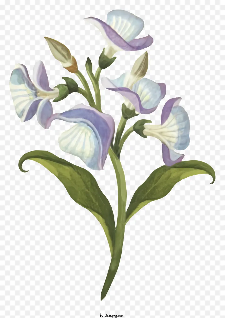 çiçek Boyama，Suluboya Illüstrasyon PNG