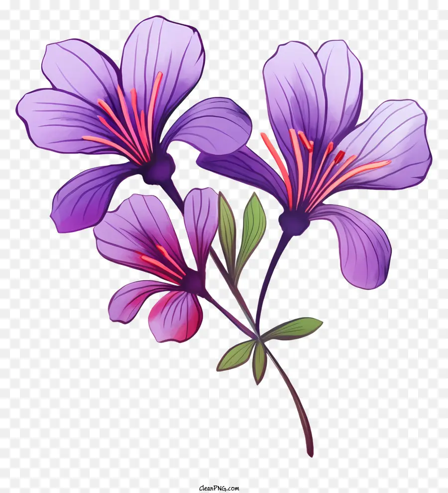 çiçek，Yaprakları PNG