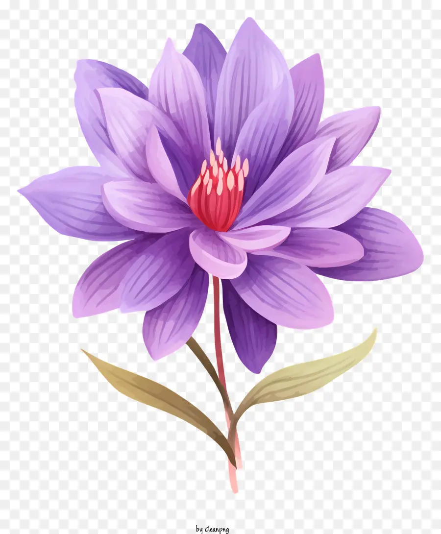 Lotus çiçeği，Umut PNG