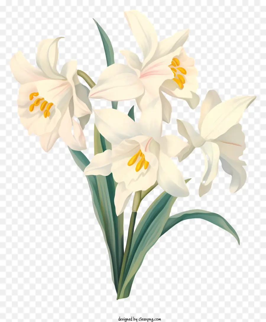 Beyaz çiçekler，Buket PNG