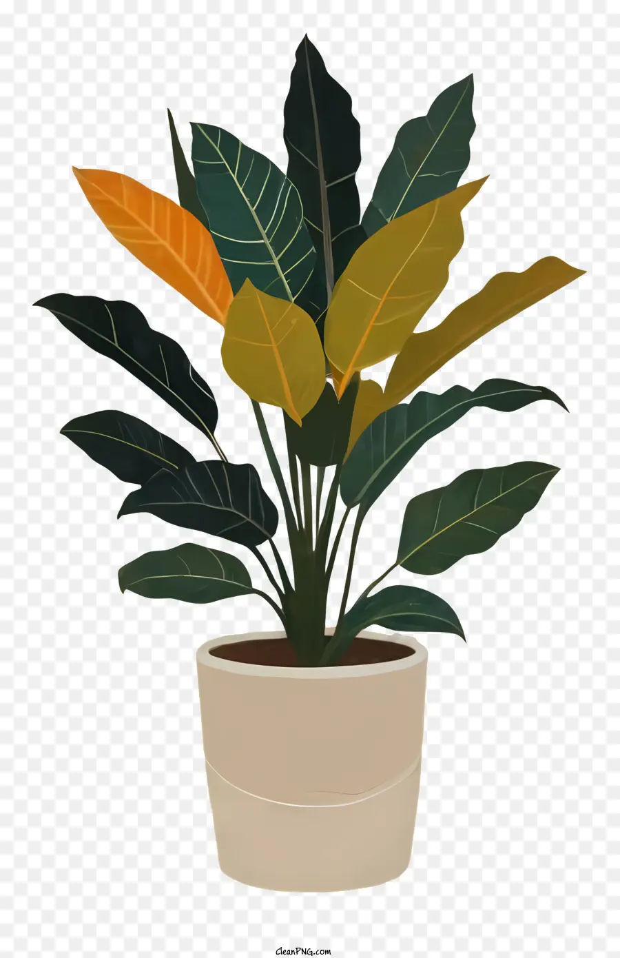 Saksı Bitkisi，Yeşil Yaprakları PNG