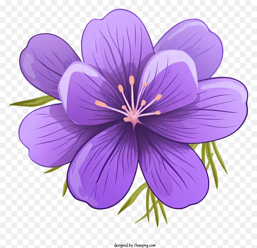 Mor çiçek，Yaprakları PNG